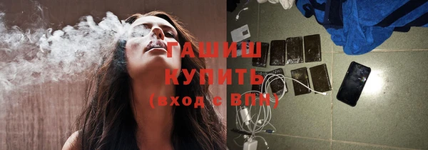 тгк Инсар