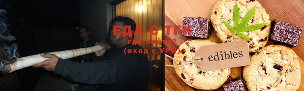 тгк Инсар