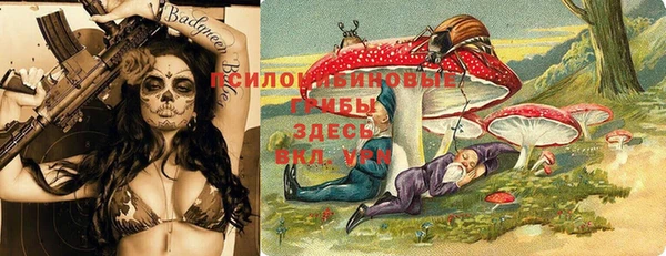тгк Инсар