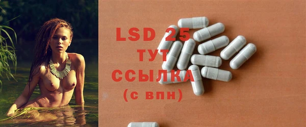 тгк Инсар