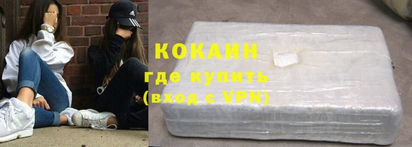 тгк Инсар