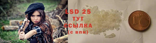 тгк Инсар