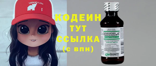 тгк Инсар