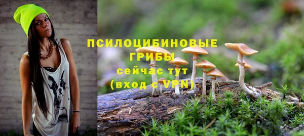 соль ск Инта