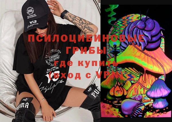 тгк Инсар