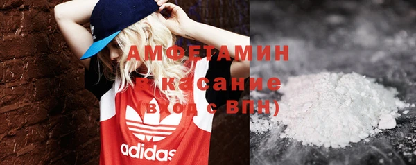 тгк Инсар