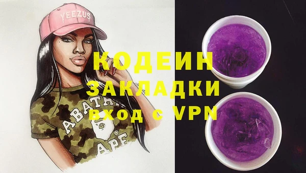 тгк Инсар
