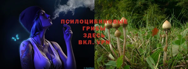 тгк Инсар