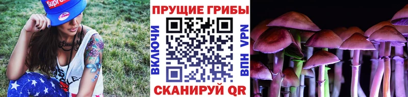 Купить закладки  Железногорск-Илимский  Псилоцибиновые грибы MAGIC MUSHROOMS 